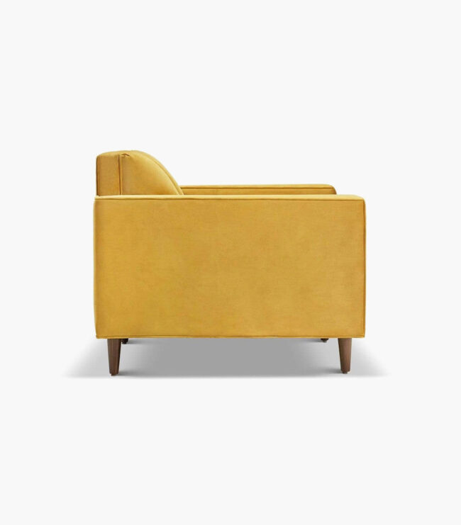 Delphine Cane Velvet Accent Chair - Image 3